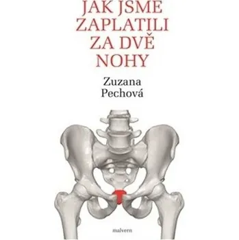 Jak jsme zaplatili za dvě nohy Kniha