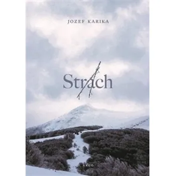 Strach - Jozef Karika (2019, pevná)