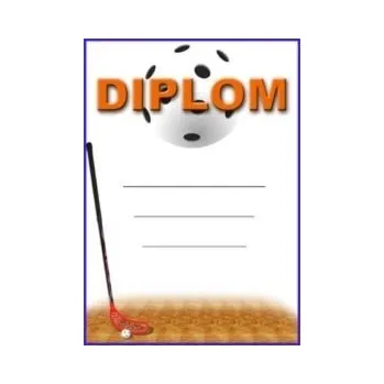 Diplom florbal 1