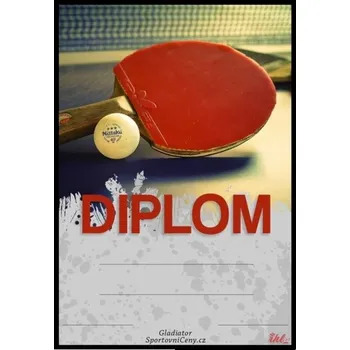 Diplom stolní tenis 3