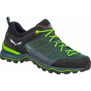 Pánská treková obuv Salewa MTN Trainer Lite GTX Myrtle/Ombre Blue