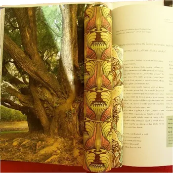 Kaleidoskop Krasohledy - Krasohled optický - VELIKÝ vzor seces