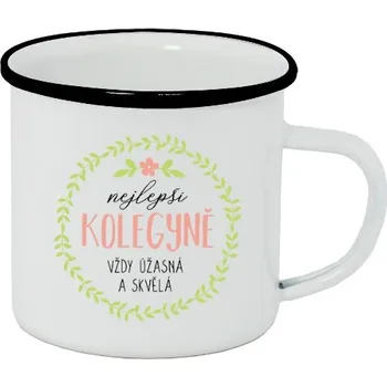 Plecháček - smaltový lem s potiskem Nejlepší kolegyně - vždy úžasná a skvělá