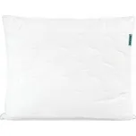 Wendre Aloe Vera 70 x 90 cm