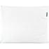 Polštář Wendre Aloe Vera 70 x 90 cm