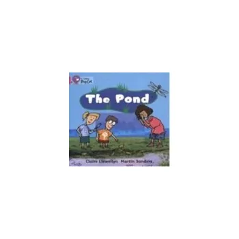 Kniha Pond - Llewellyn, Claire
