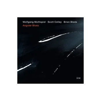 Zahraniční hudba Angular Blues - Muthspiel/Colley/Blade [CD]
