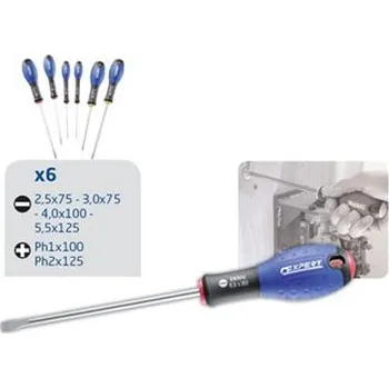 Šroubovák Tona Expert E160902 6dílná sada šroubováků plochý/Ph