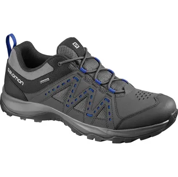 Pánská treková obuv Salomon Rodica GTX L40925300