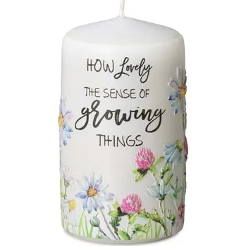 Svíčka Svíčka válec 60x110 mm aplikace The sense 270 gram