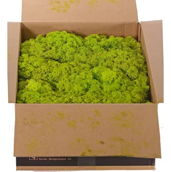 umělá květina Stabilizovaný mech box 2,7kg - světle zelená (mech pro mechové obrazy a stěny)