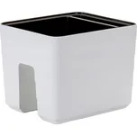 Plastia Berberis 30 cm