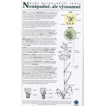 Encyklopedie Rezekvítek Naše nejhojnější trávy
