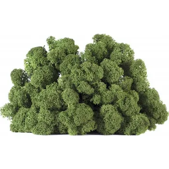 Dekorační stabilizovaný mech sobí 4 kg, zelený