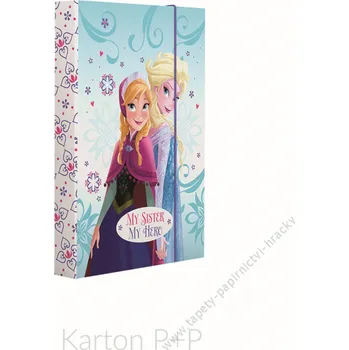 Box na sešity A4 Ledové království Frozen