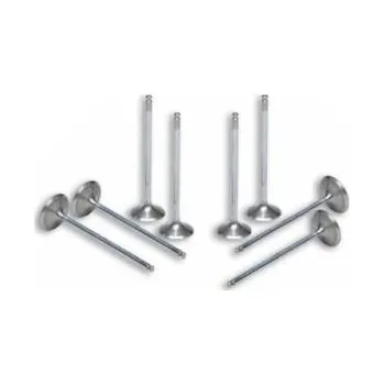 Válec motoru Sada ventilů Malossi 8ks, Yamaha T-Max 500 M.2715092