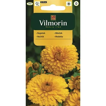 Semeno Měsíček lékařský (žlutý)