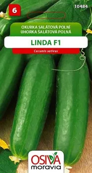 Semeno Osiva Moravia Linda F1 okurka salátová 1 g