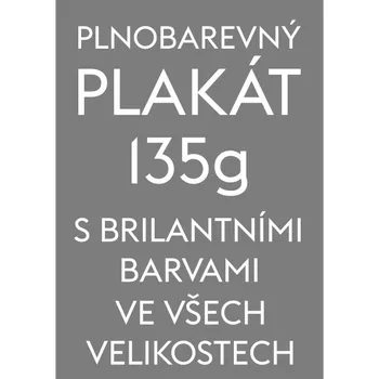 Reklamní Plnobarevný plakát Formát B2 (500 x 700 mm) (LPP50x70S135)