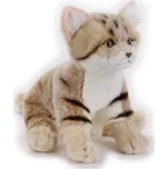 National Geographic Kids 33 cm