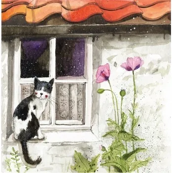 Přání v obálce kočka, Window 14*14 cm (Přání s kočkou)