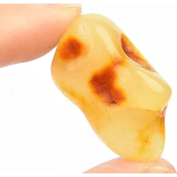 Sběratelství Jantar pro sběratele (3,9g)