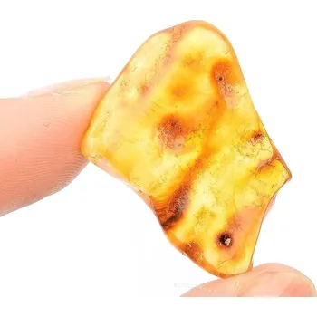 Přírodní kámen Sběratelský jantar (2,4g)