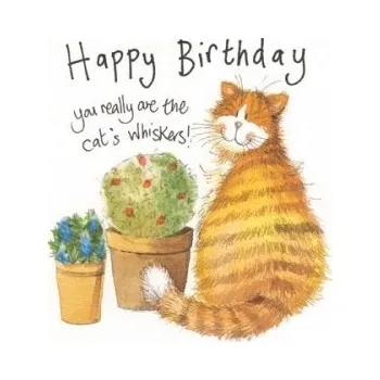 Přání v obálce Whiskers od Alex Clark, 16*16 cm (Přání s kočkou)