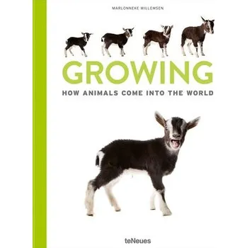 Cizojazyčná kniha Growing - Willemsen, Marlonneke