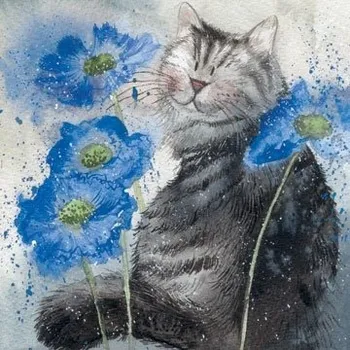 Přání v obálce Cornflowers, ALEX CLARK, 14*14 cm (Blahopřáníí s kočkou, kočka)