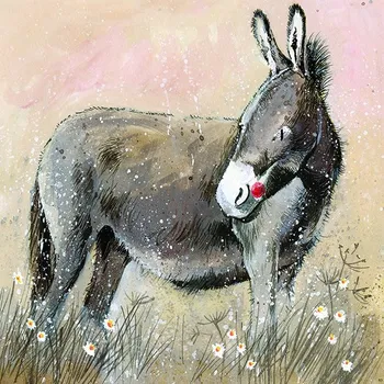 Přání v obálce Donkey, oslík od ALEX CLARK 14*14 cm (Blahopřání s oslíkem)