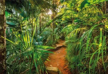 Fototapeta Komar Jungle Trail 8-989 368 x 254 cm