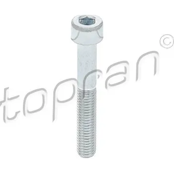 Brzdový třmen Šroub, brzdový třmen, , N0447553, TOPRAN, 110 707