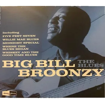 Zahraniční hudba Broonzy Big Bill: The Blues - CD