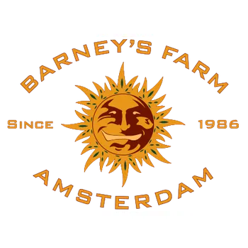 Semeno Barney´s Farm White Widow XXL (Feminizovaná semena White Widow XXL)