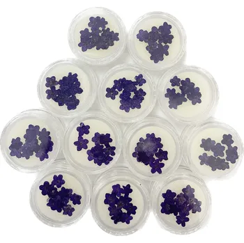 3D suché květiny Fialový Nail Art 12ks