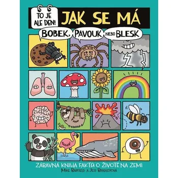 Kniha To je ale den! Jak se má bobek, pavouk nebo blesk - Mike Barfield (E-Kniha)
