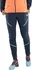 Dámské kalhoty Dynafit Transalper Hybrid Pants W Blueberry Marine Blue L