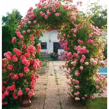 Zahradní dekorace Garden King zahradní brána