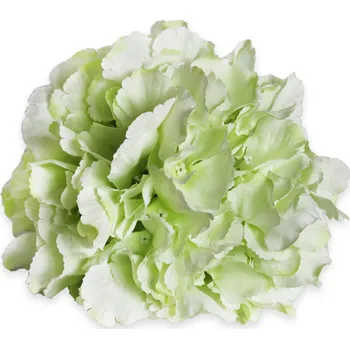 umělá květina Hortenzie květ pr.20cm bílozelená