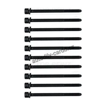 Těsnění motoru Sada šroubů pro hlavy válcu VICTOR REINZ (VR 14-32055-01)