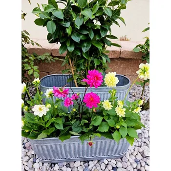 Zahrada 2ks zinkový antik plechový oválný květináč - 55*18*26 / 45*12*21 cm