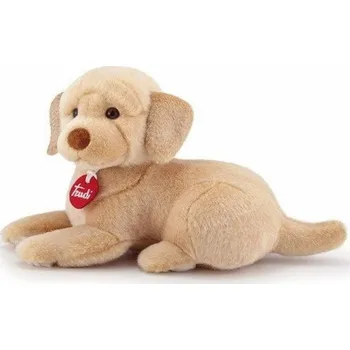 Masážní přístroj TRUDI LABRADOR LIAM S