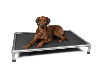Pelíšek pro psa TrendPet BedKing S lehátko 75 x 55 cm černé