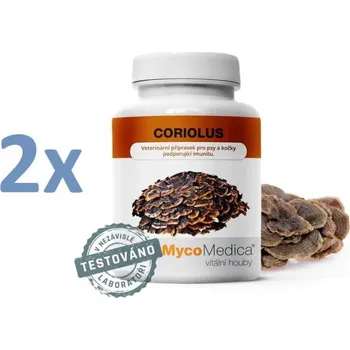 Náplast MycoMedica Coriolus 2 x 90 kapslí