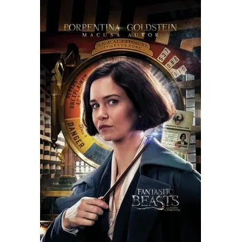 Plakát Plakát, Obraz - Fantastická zvířata - Tina Goldstein