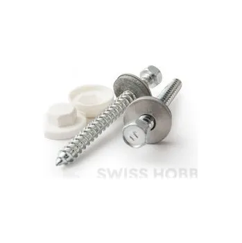 Šroub s plastovou krytkou