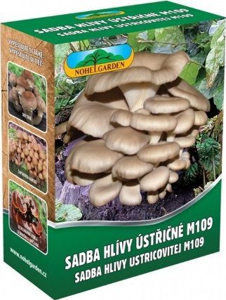 Nohel Garden Hlíva ústřičná M109 - sadba 250ml