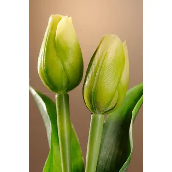 umělá květina Paramit Umělý tulipán zelený 40 cm