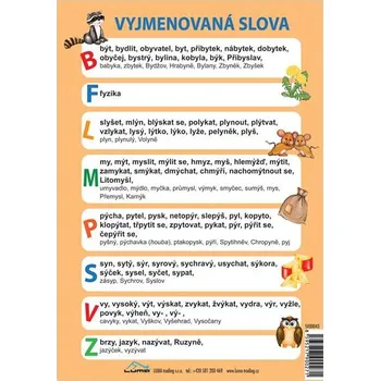 výuková tabulka LUMA Vyjmenovaná slova A5